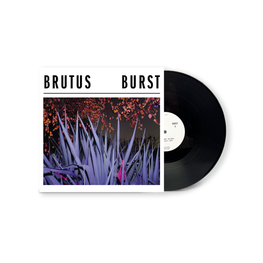 Brutus 'Burst'